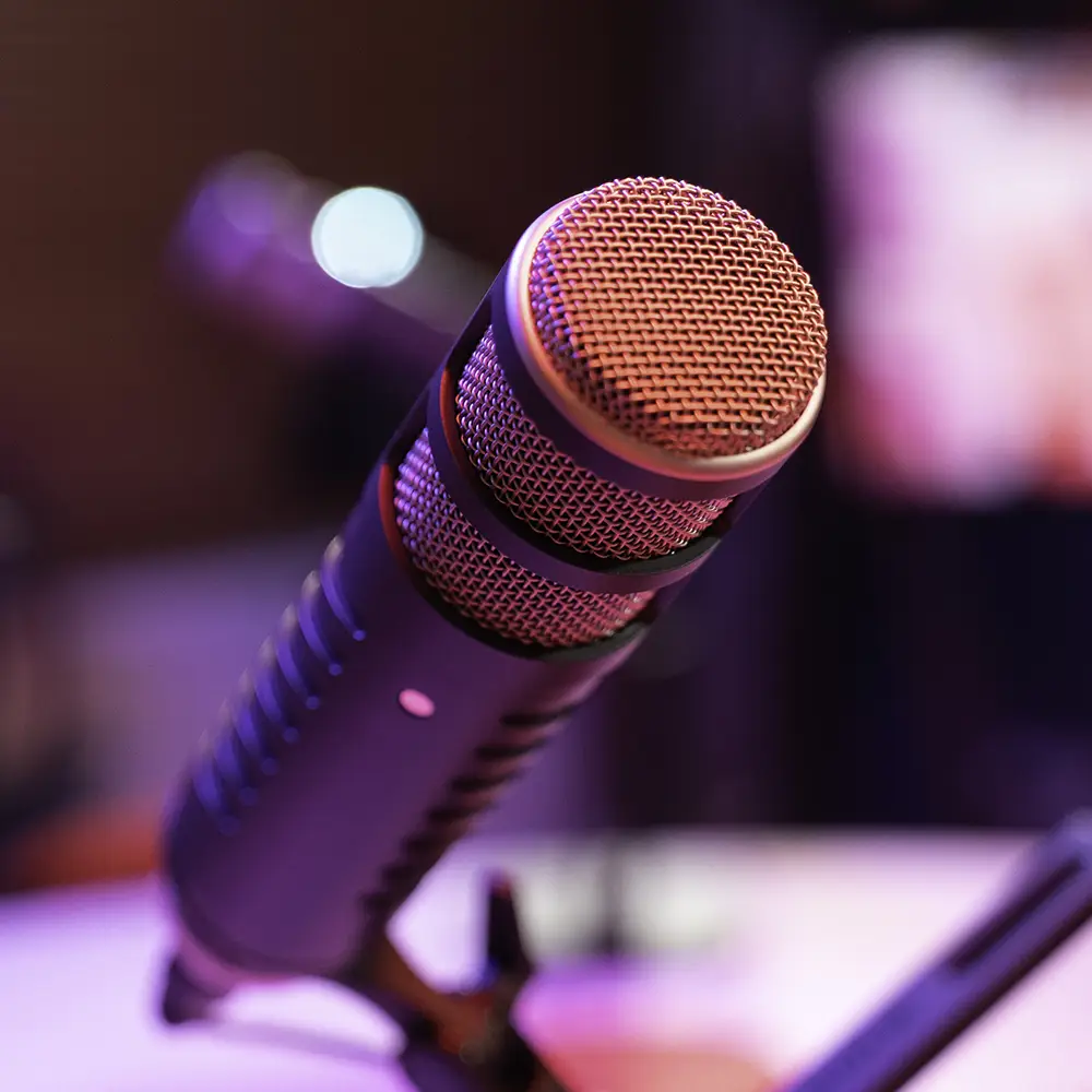 Audio Only<br>Pro Room Hire